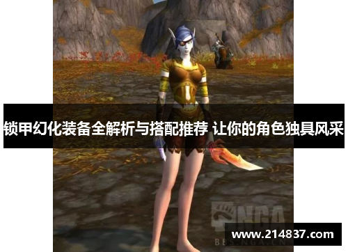 锁甲幻化装备全解析与搭配推荐 让你的角色独具风采
